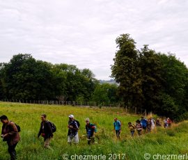 DSC_1534_DxO